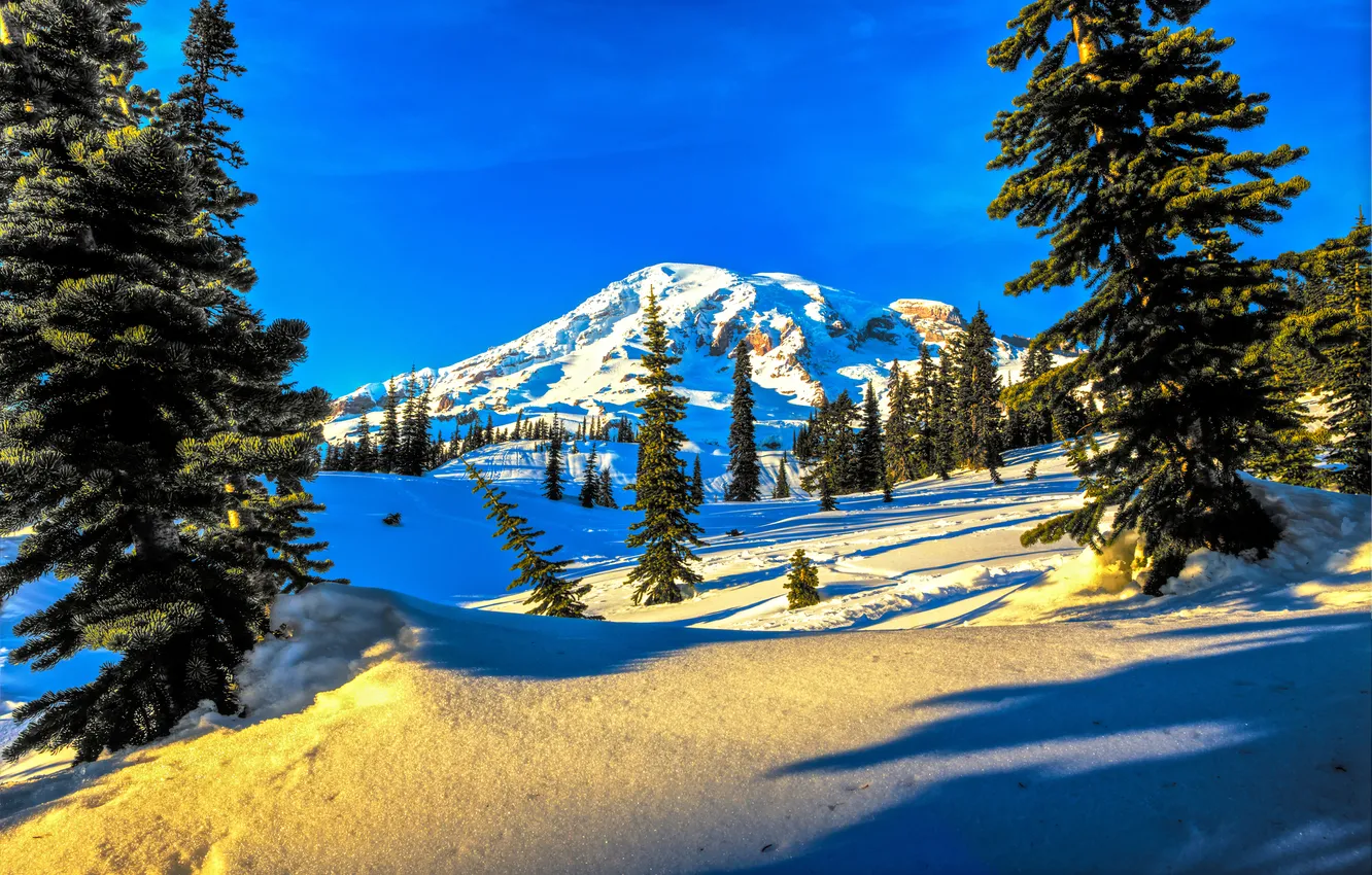 Фото обои зима, небо, снег, деревья, закат, горы, ель, склон