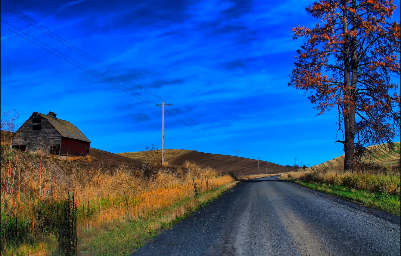 Фото обои дорога, осень, небо, трава, облака, дом, дерево