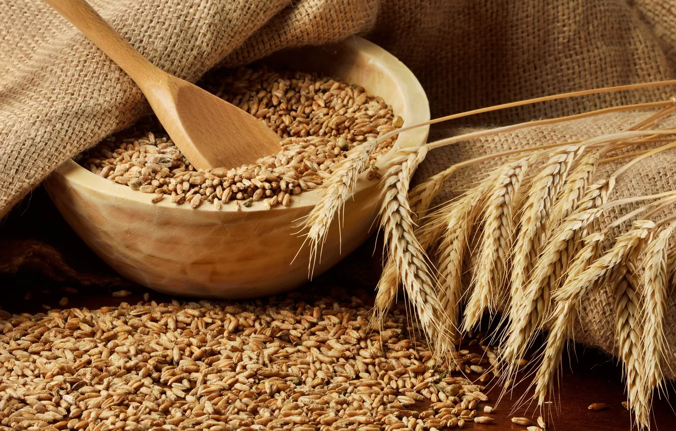 Фото обои пшеница, зерно, колоски, колосья, плошки