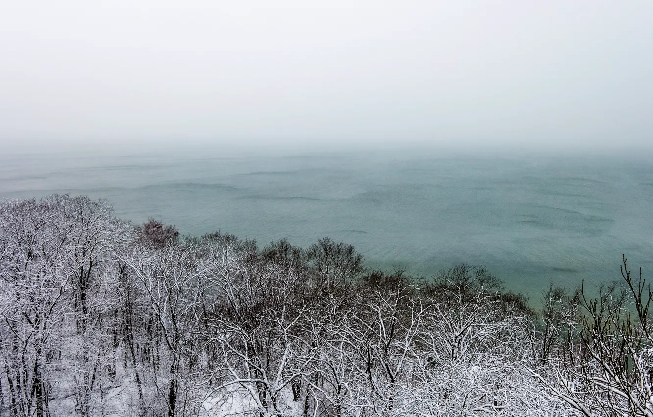 Фото обои море, снег, деревья, природа, туман