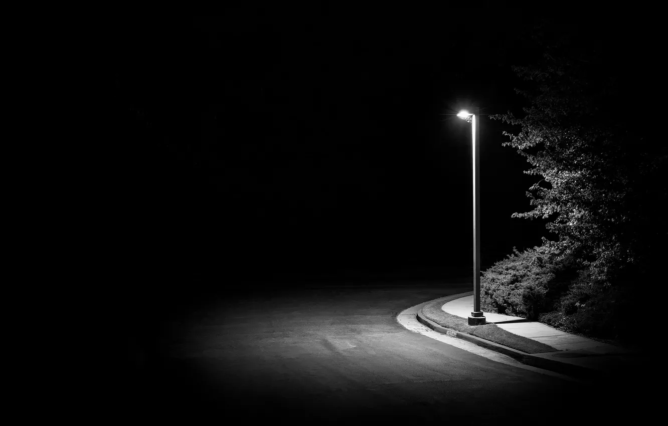 Фото обои ночь, улица, фонарь