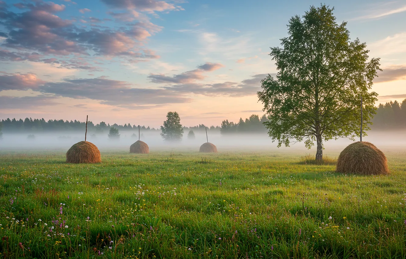 Фото обои туман, обои, утро, стог, луг, березы, wallpaper, morning