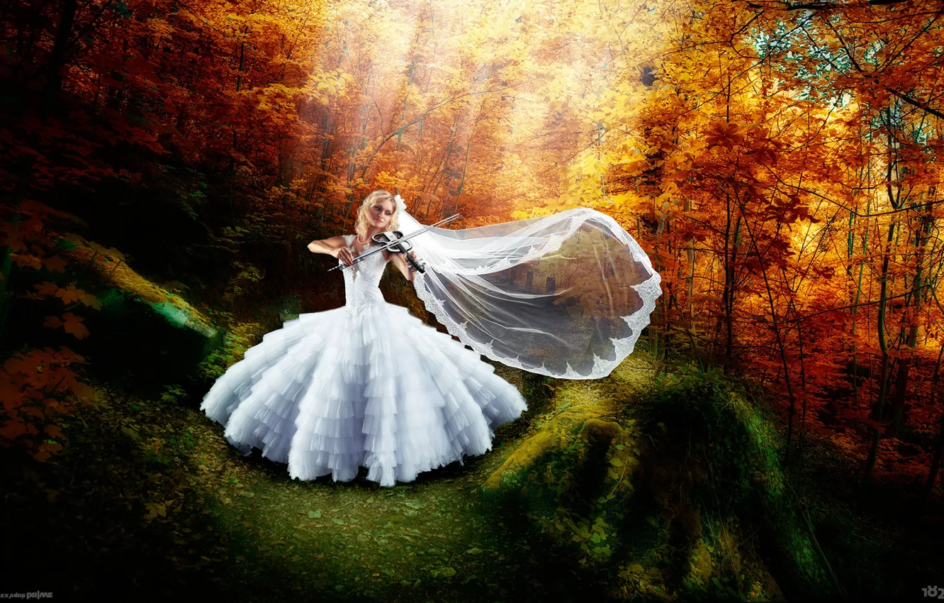 Фото обои осень, девушка, радость, счастье, скрипка, платье, арт, невеста