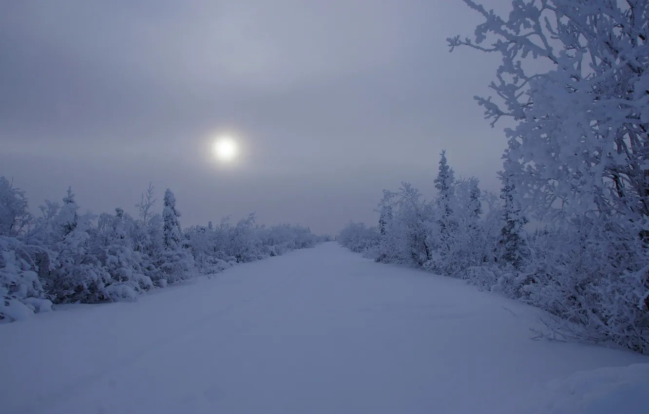 Фото обои зима, снег, пейзаж, ночь