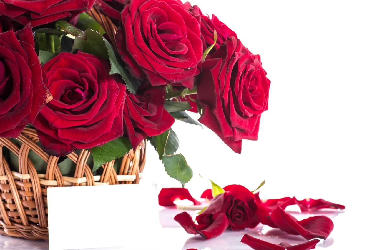Фото обои корзина, романтика, розы, лепестки, red, flower, красивые, beautiful