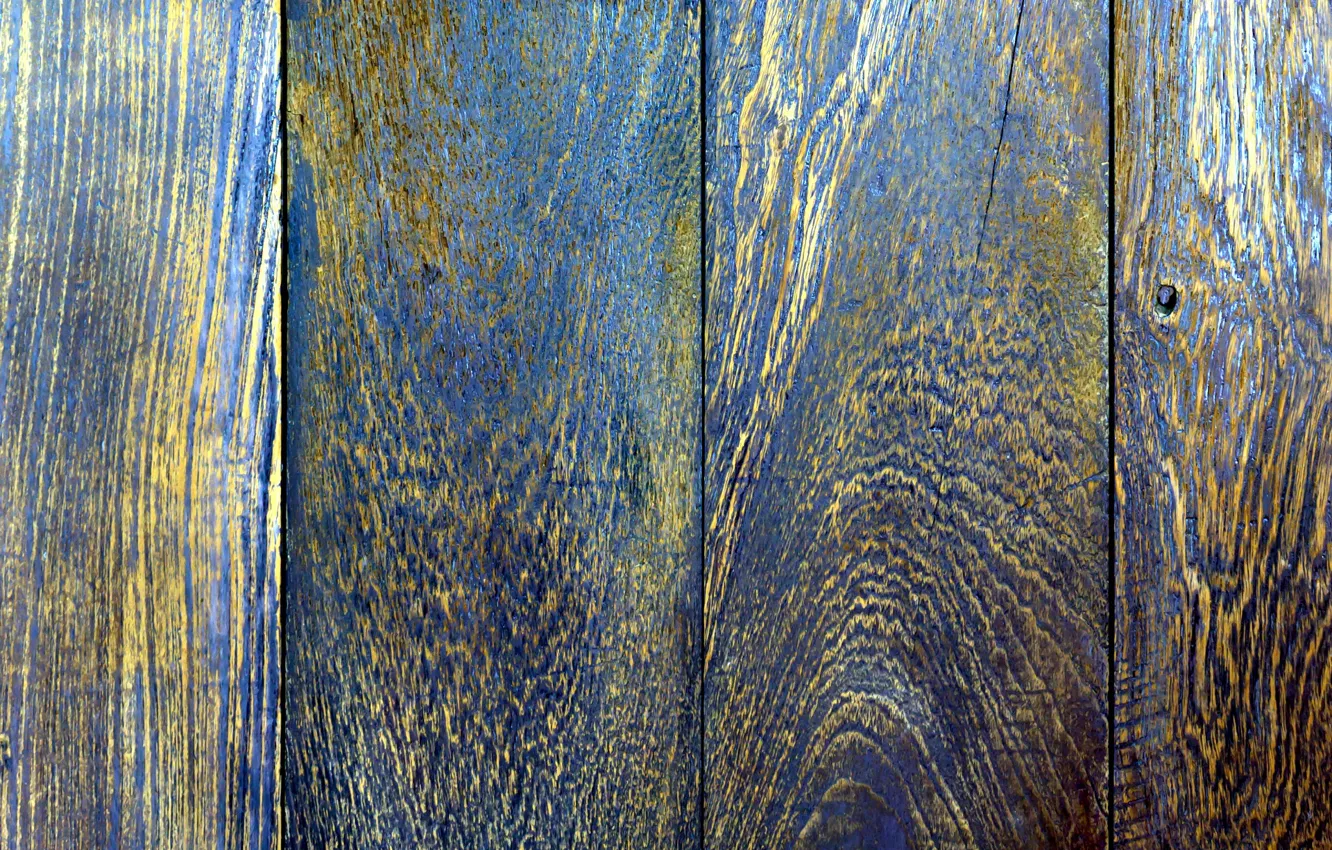 Фото обои деревья, стол, старый