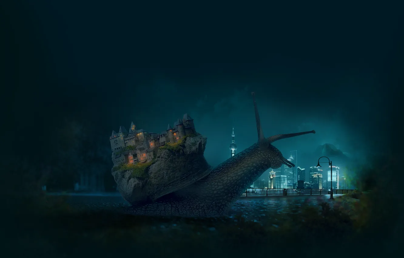 Фото обои животные, ночь, город, замок, луна, настроения, Макро, улитка