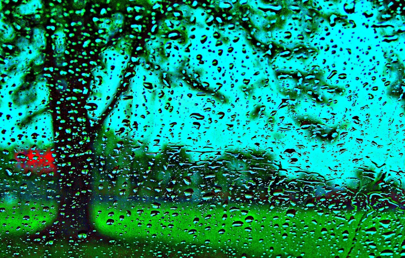 Фото обои стекло, вода, капли, дождь, окно