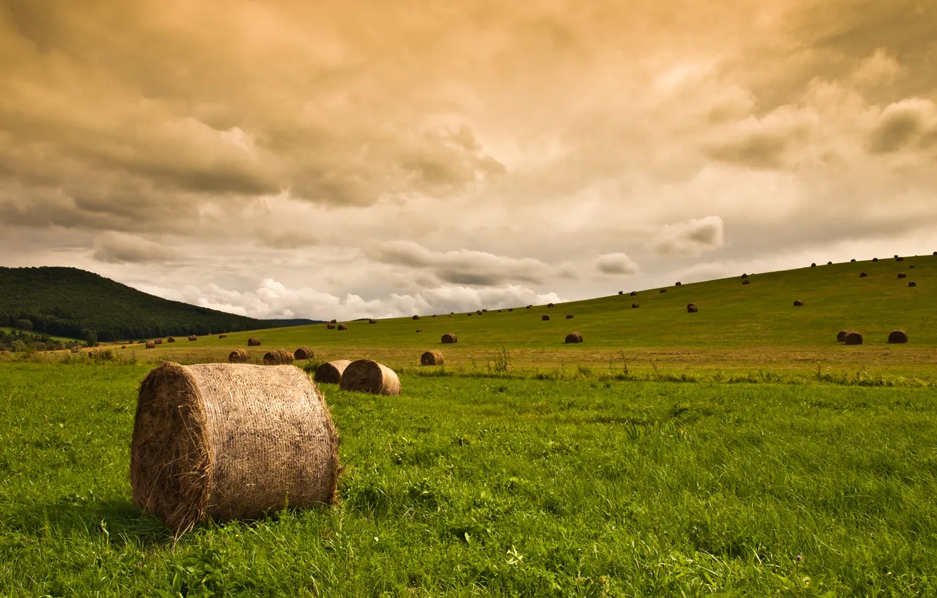 Фото обои поле, небо, трава, тучи, природа, стог, сено, солома