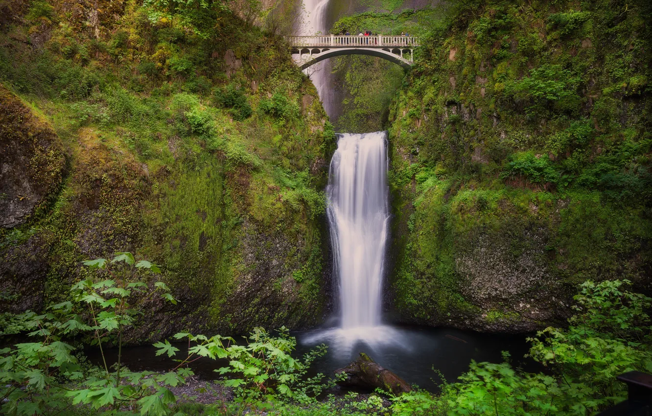 Фото обои мост, водопад, Орегон, Oregon, Columbia River Gorge, водопад Малтнома, Benson Bridge, мост Бенсона