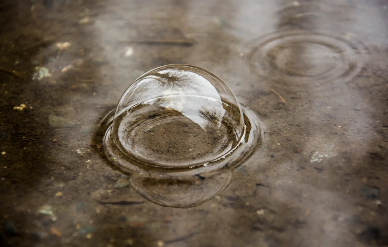 Фото обои вода, природа, пузырь