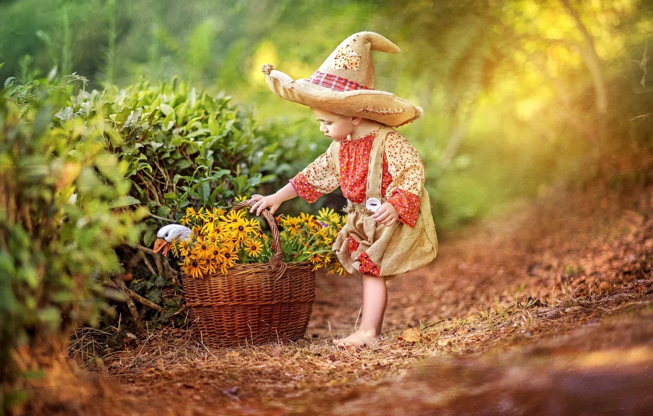 Фото обои цветы, детство, корзина, сказка, шляпа, мальчик, костюм, гусь