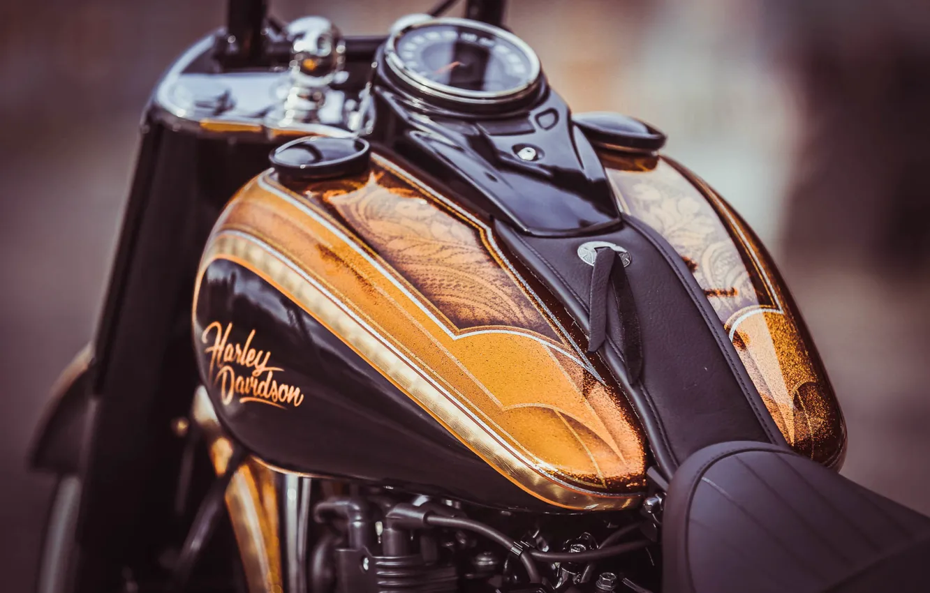 Фото обои Harley Davidson, Harley-Davidson, Macro, Motorcycle