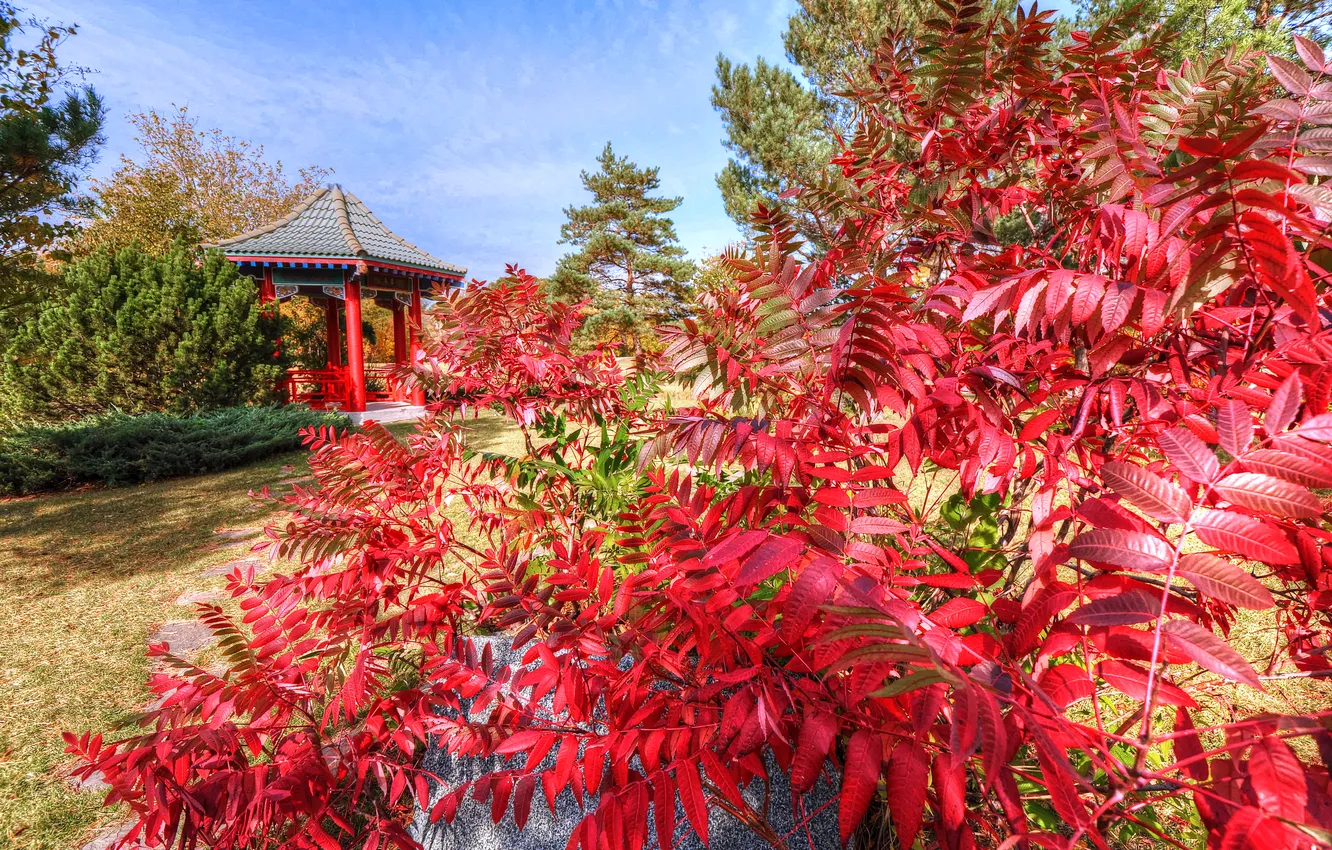Фото обои осень, небо, листья, облака, камень, беседка, деревце, японский сад