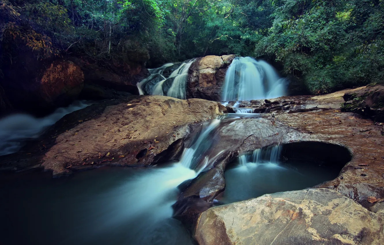 Фото обои река, камни, водопад, джунгли