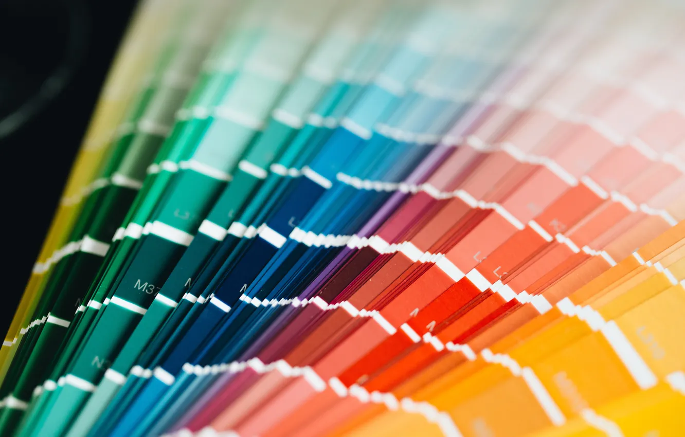 Фото обои colors, variety, palette, catalog