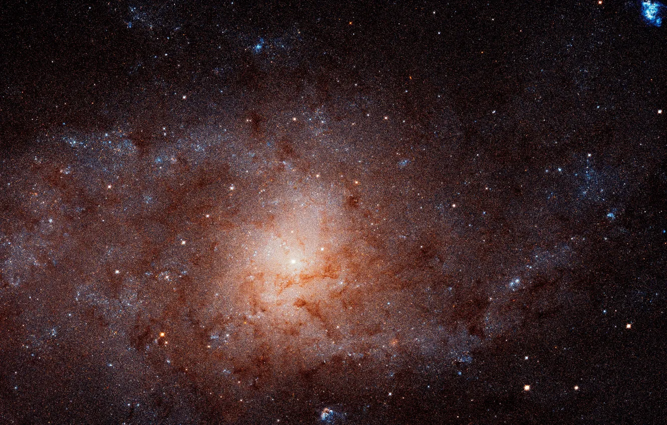 Фото обои Spiral galaxy, NGC 598, constellation Triangulum, The Triangulum Galaxy, Messier 33