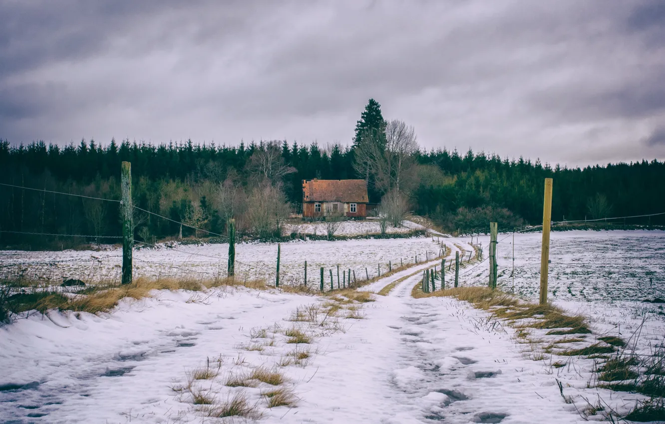 Фото обои зима, дорога, поле, снег, дом, забор, Родина