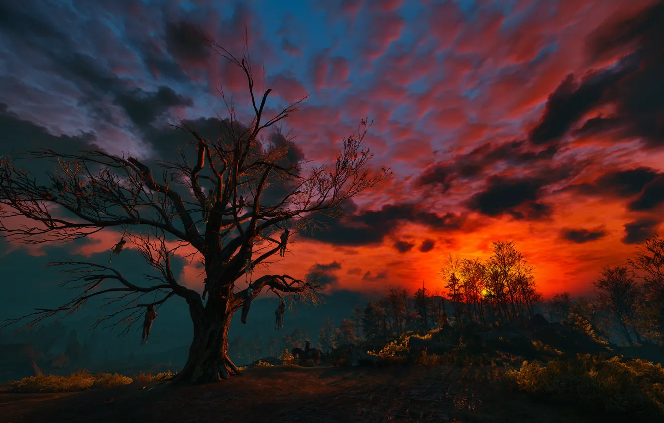 Фото обои небо, облака, ночь, дерево, Ведьмак, висельники, The Witcher 3:Wild Hunt