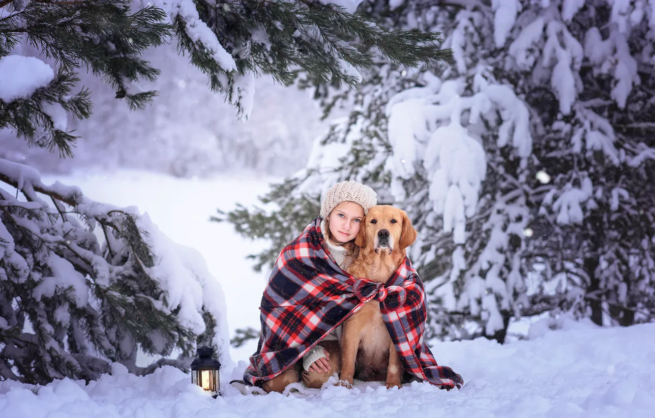 Фото обои зима, снег, деревья, природа, собака, ели, девочка, фонарь