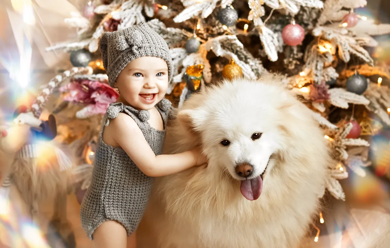 Фото обои радость, животное, праздник, новый год, собака, малыш, ёлка, ребёнок