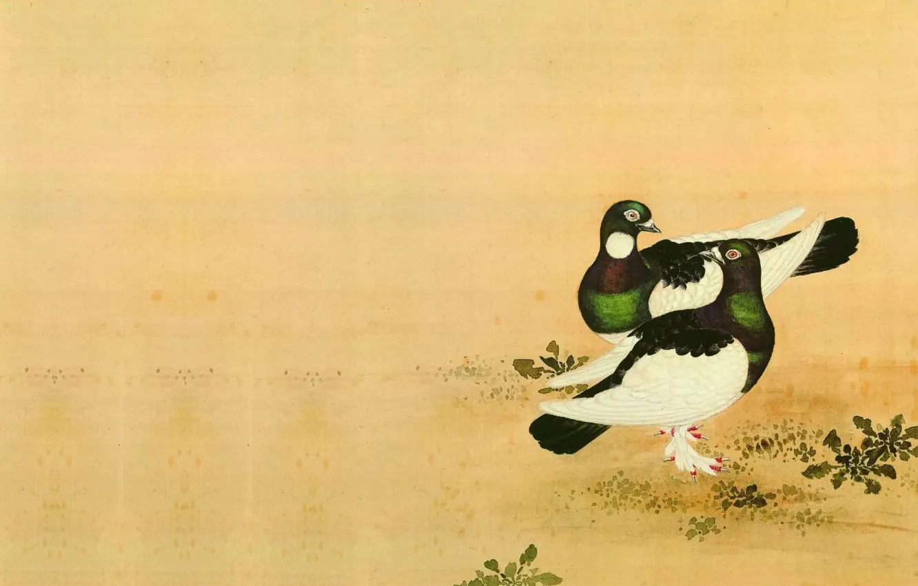 Фото обои птица, рисунок, голубь, арт, Китай