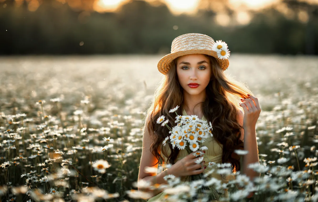 Фото обои лето, взгляд, девушка, цветы, лицо, настроение, волосы, ромашки