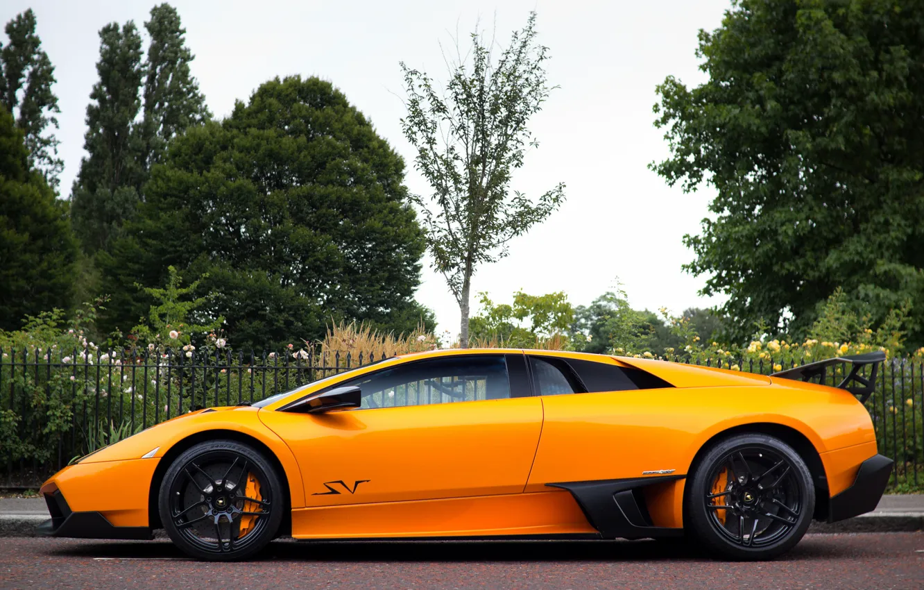 Фото обои оранжевый, Lamborghini, Murcielago, orange, LP670-4, ламборгини