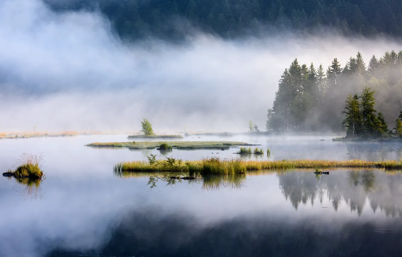 Фото обои вода, деревья, островок, водоем, Lispach