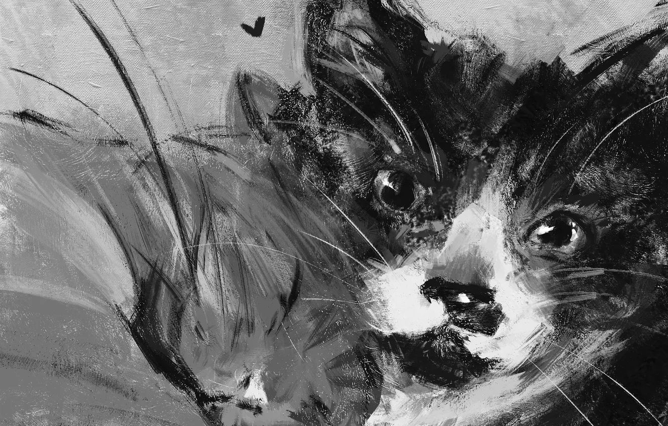 Фото обои кошка, кот, коты, живопись, от панда, by panda