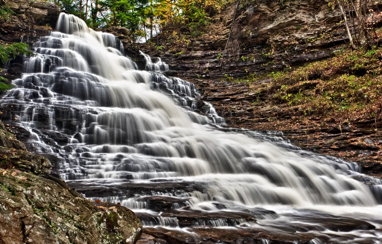 Фото обои водопад, Pennsylvania, Ricketts Glen State Park