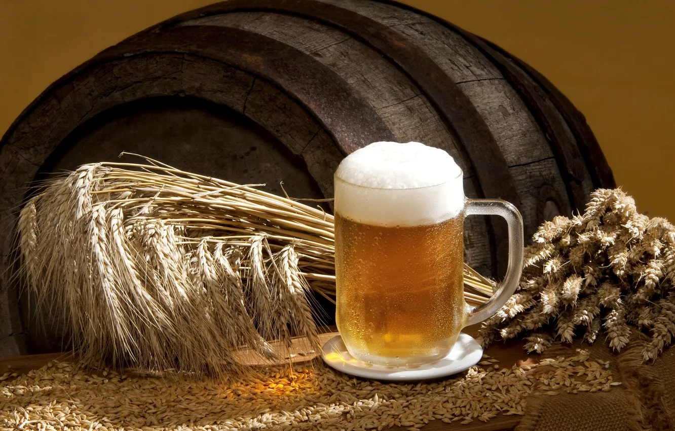 Фото обои wall, beer, barley, Hordeum vulgare, wooden barrel