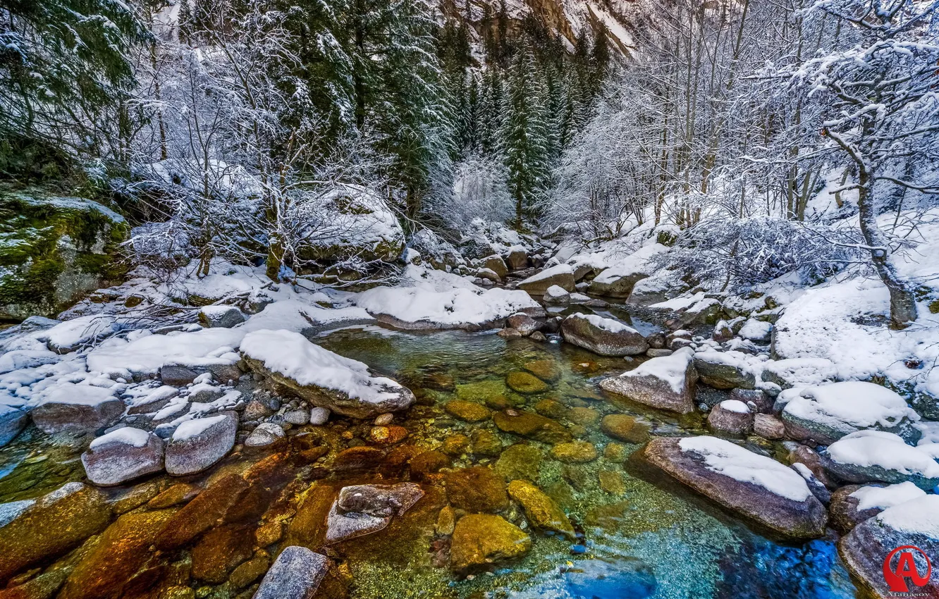 Фото обои зима, лес, снег, деревья, река