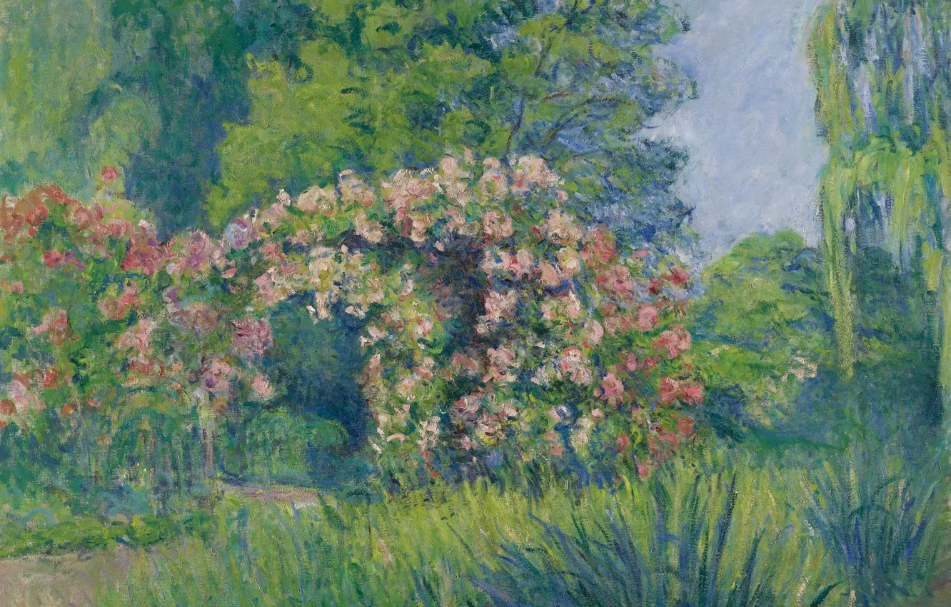 Фото обои пейзаж, картина, Бланш Моне, Blanche Hochede-Monet, Живерни. Розарий Моне