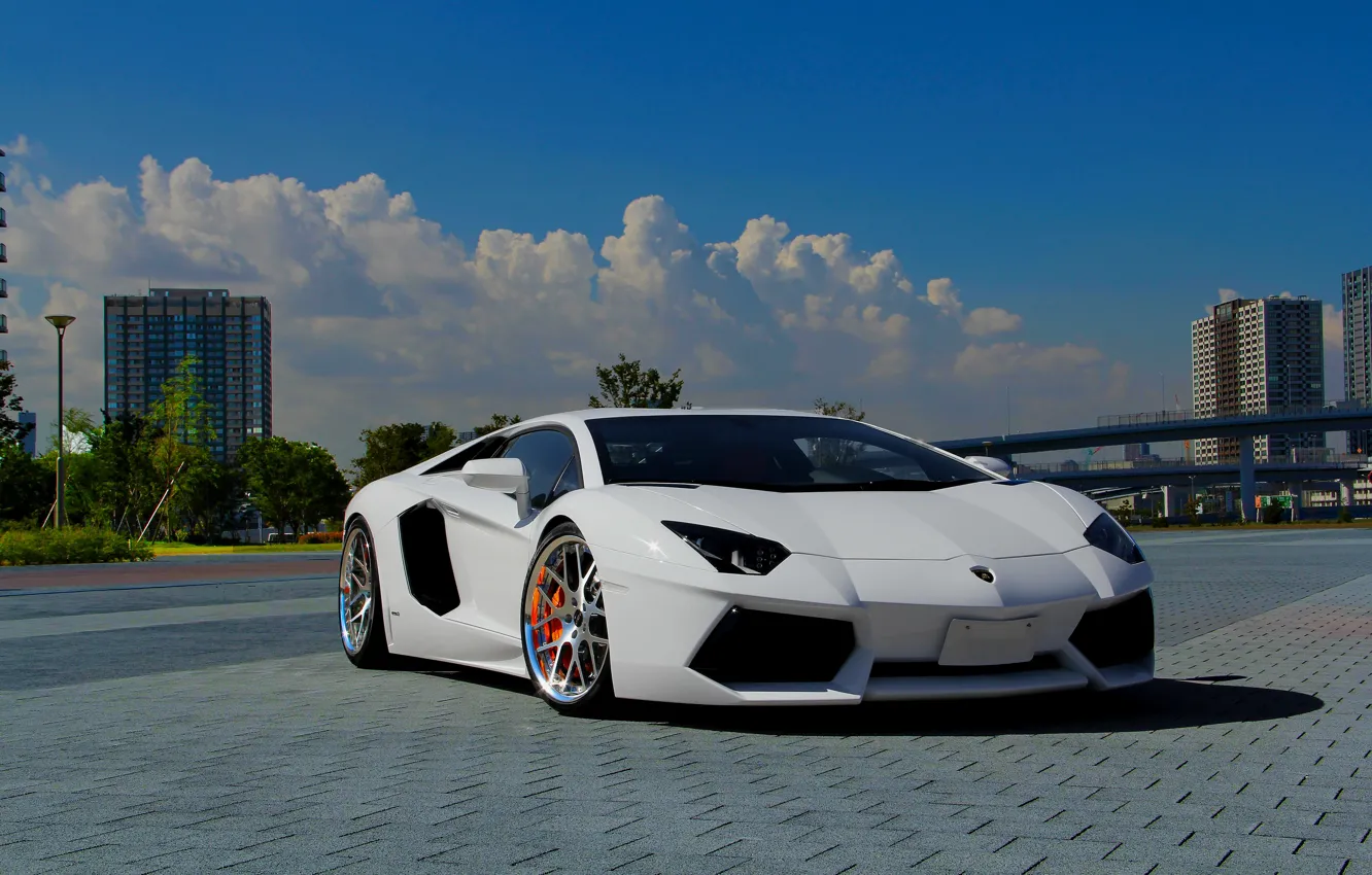 Фото обои белый, небо, облака, white, lamborghini, вид спереди, sky, clouds