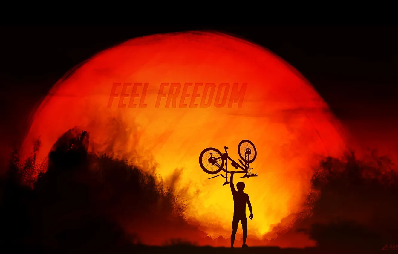 Фото обои свобода, солнце, закат, велосипед, спорт, силуэт, велосипедист, sport