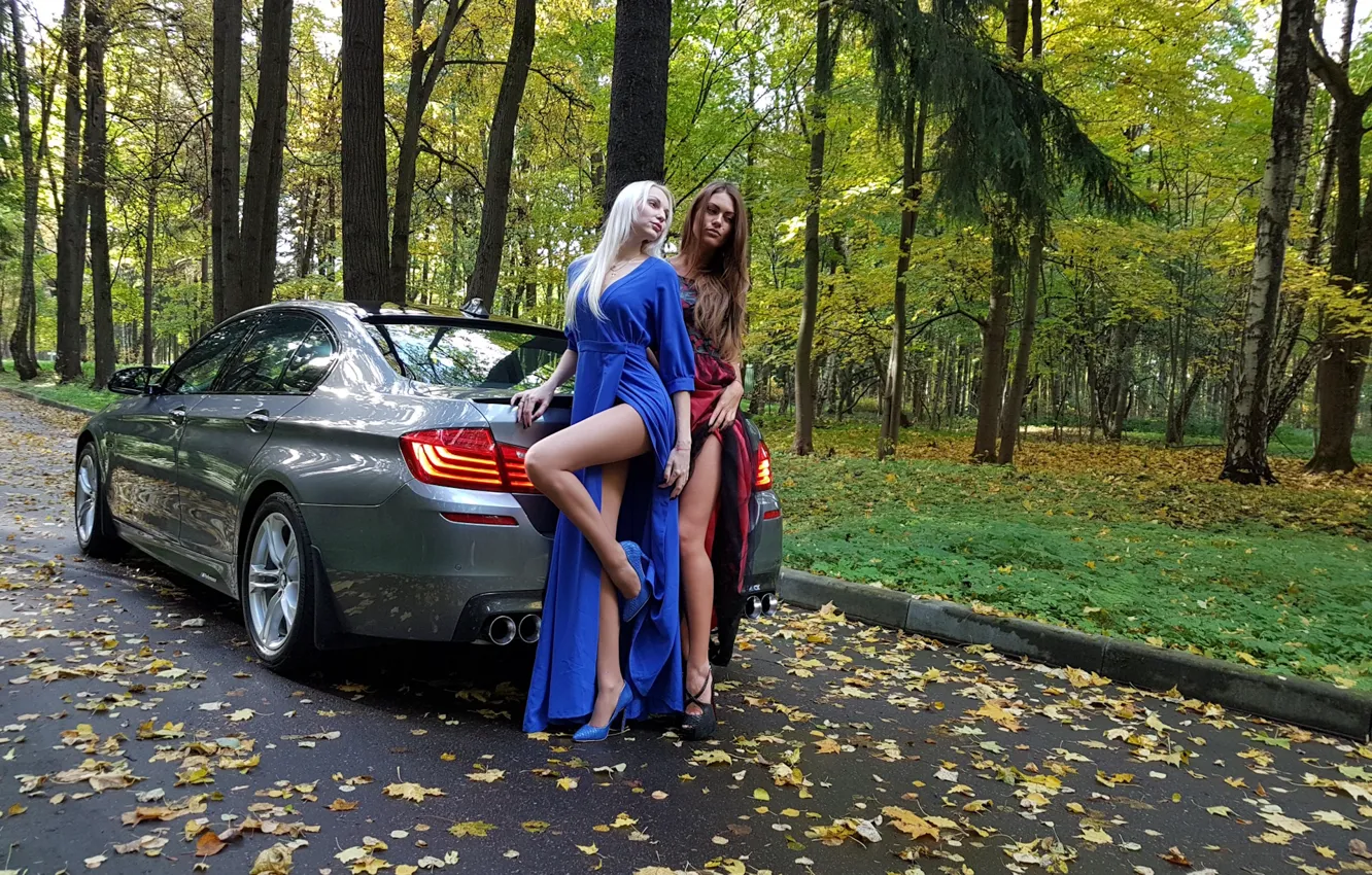 Фото обои Девушки, BMW, красивые девушки, серый авто, позируют над машиной