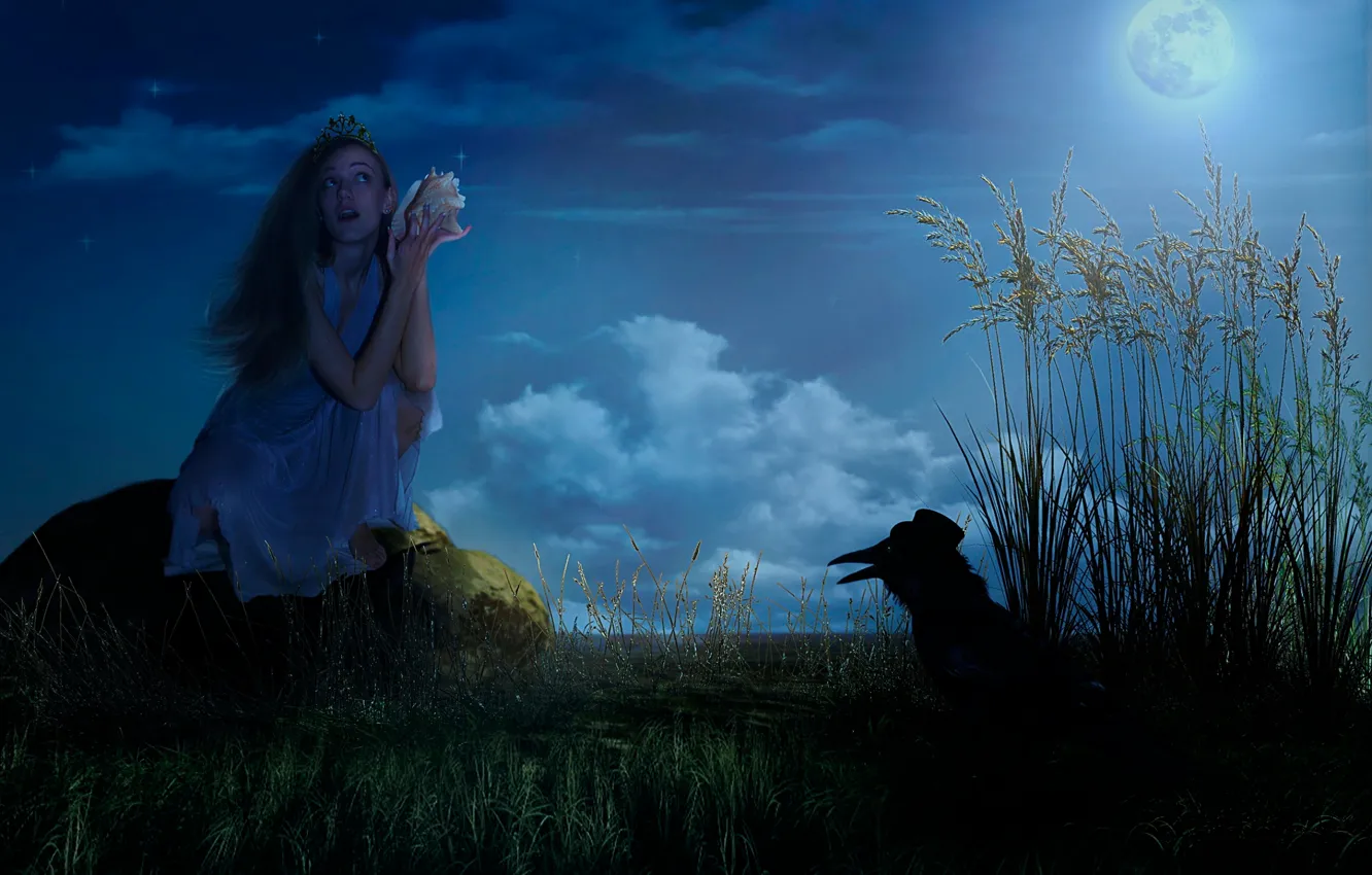 Фото обои девушка, ночь, фантазия, луна, сказка, звёзды, шляпа, ворон