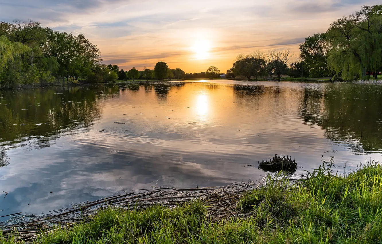 Фото обои лето, небо, трава, солнце, облака, деревья, закат, озеро