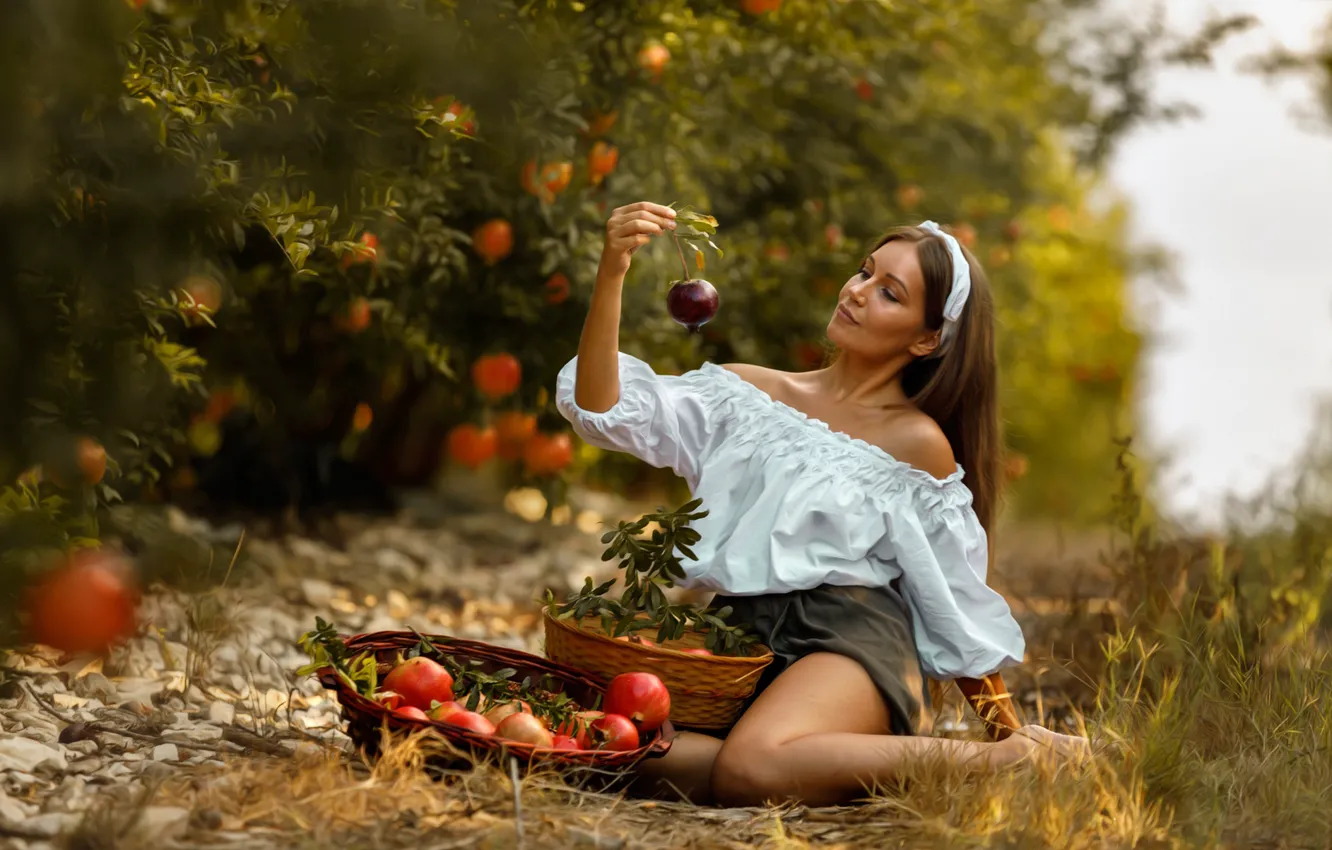 Фото обои девушка, деревья, поза, настроение, сад, блузка, гранаты, корзины