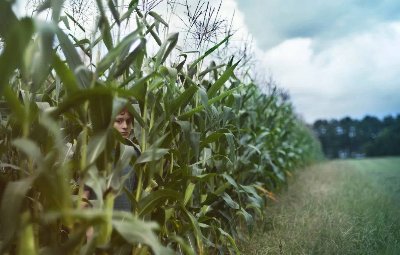 Фото обои лето, настроение, мальчик, кукуруза