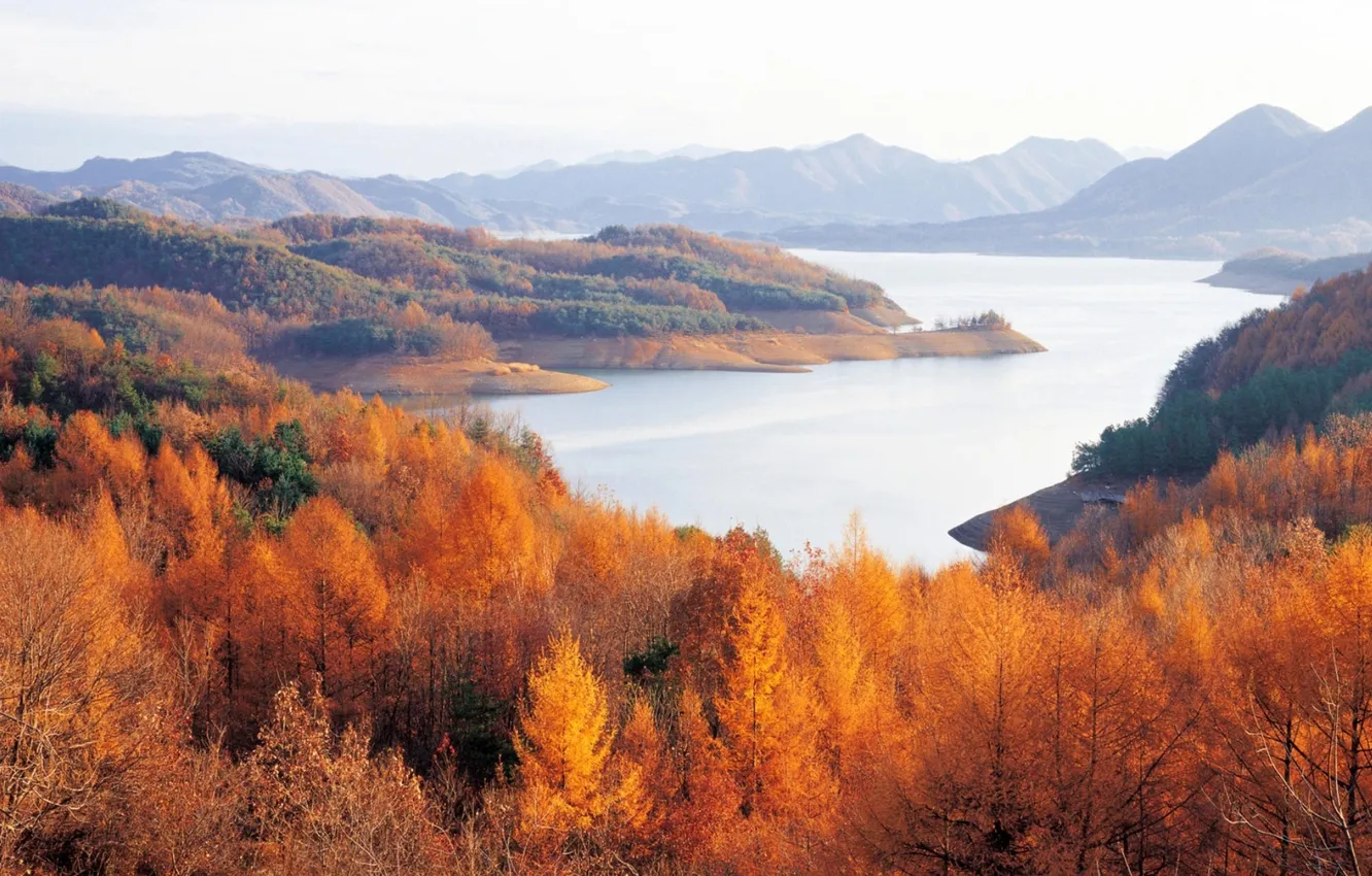 Фото обои осень, деревья, горы, река, горизонт