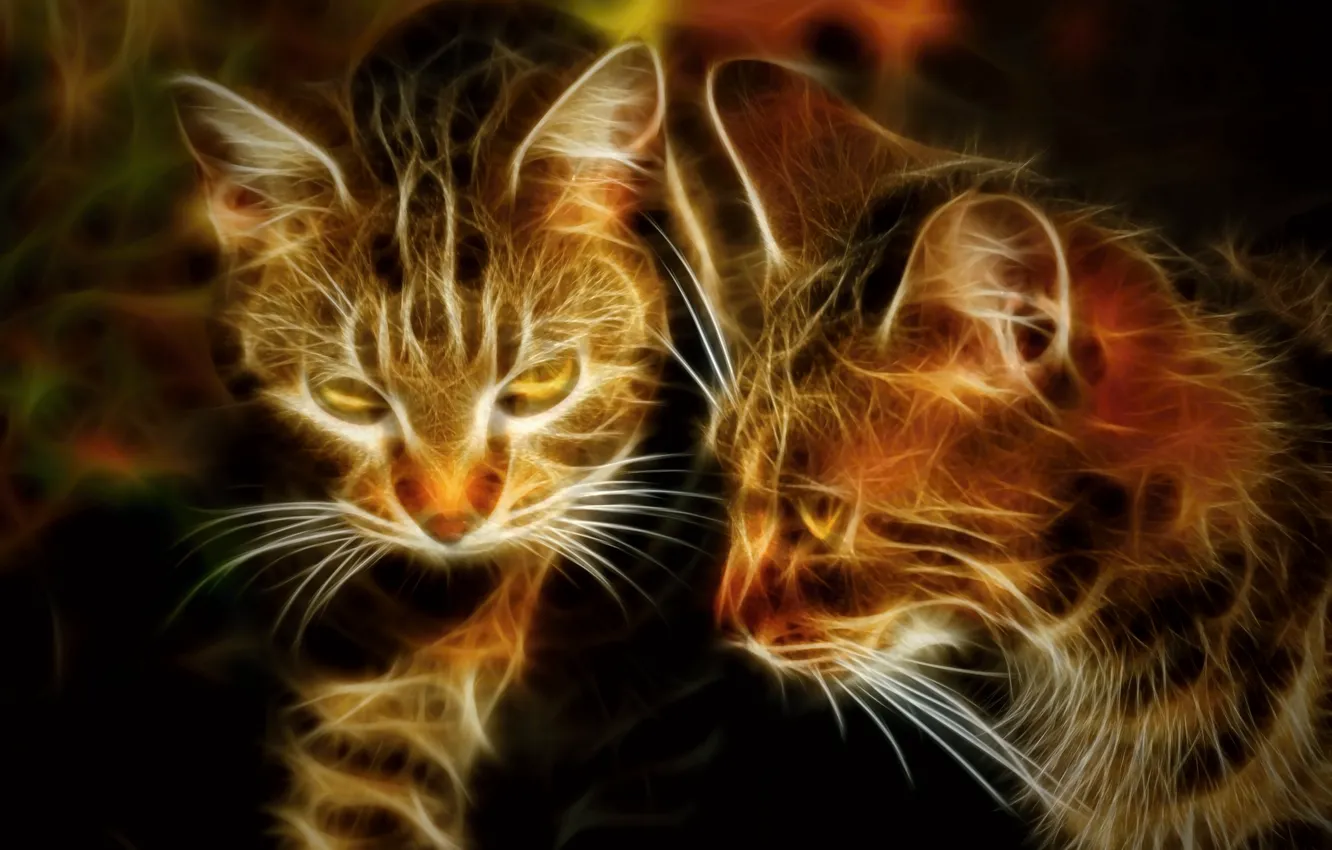 Фото обои кошки, ретушь, by Placi1