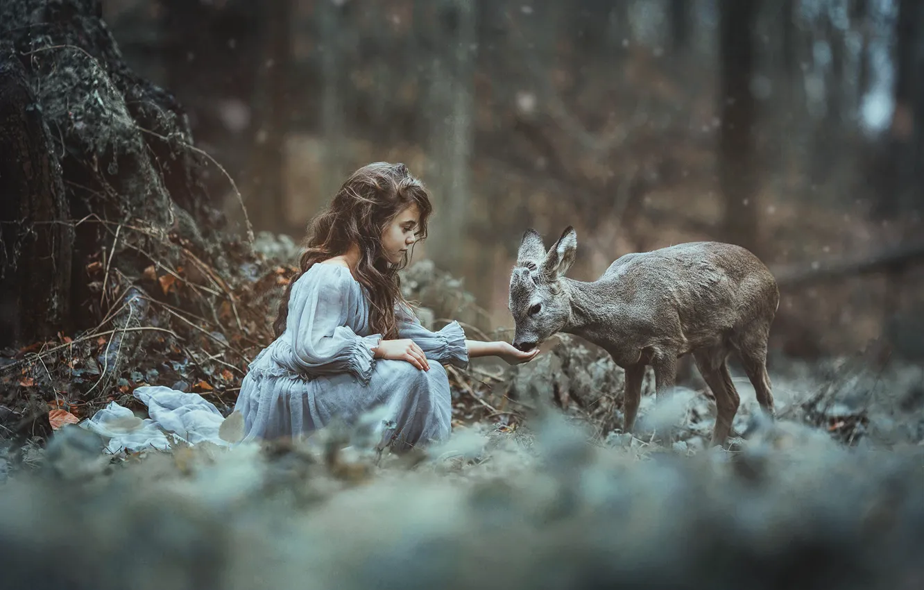 Фото обои лес, девочка, олененок, малышка, косуля