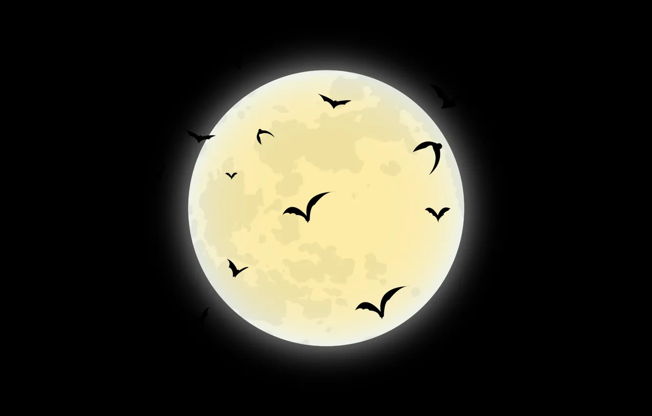 Фото обои ночь, обои, луна, wallpaper, moon, летучие мыши, картинка, чёрный фон