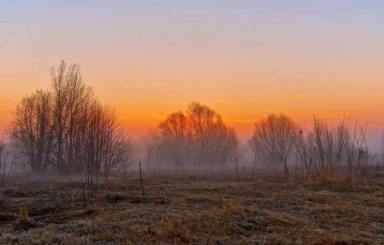 Фото обои поле, пейзаж, закат, туман