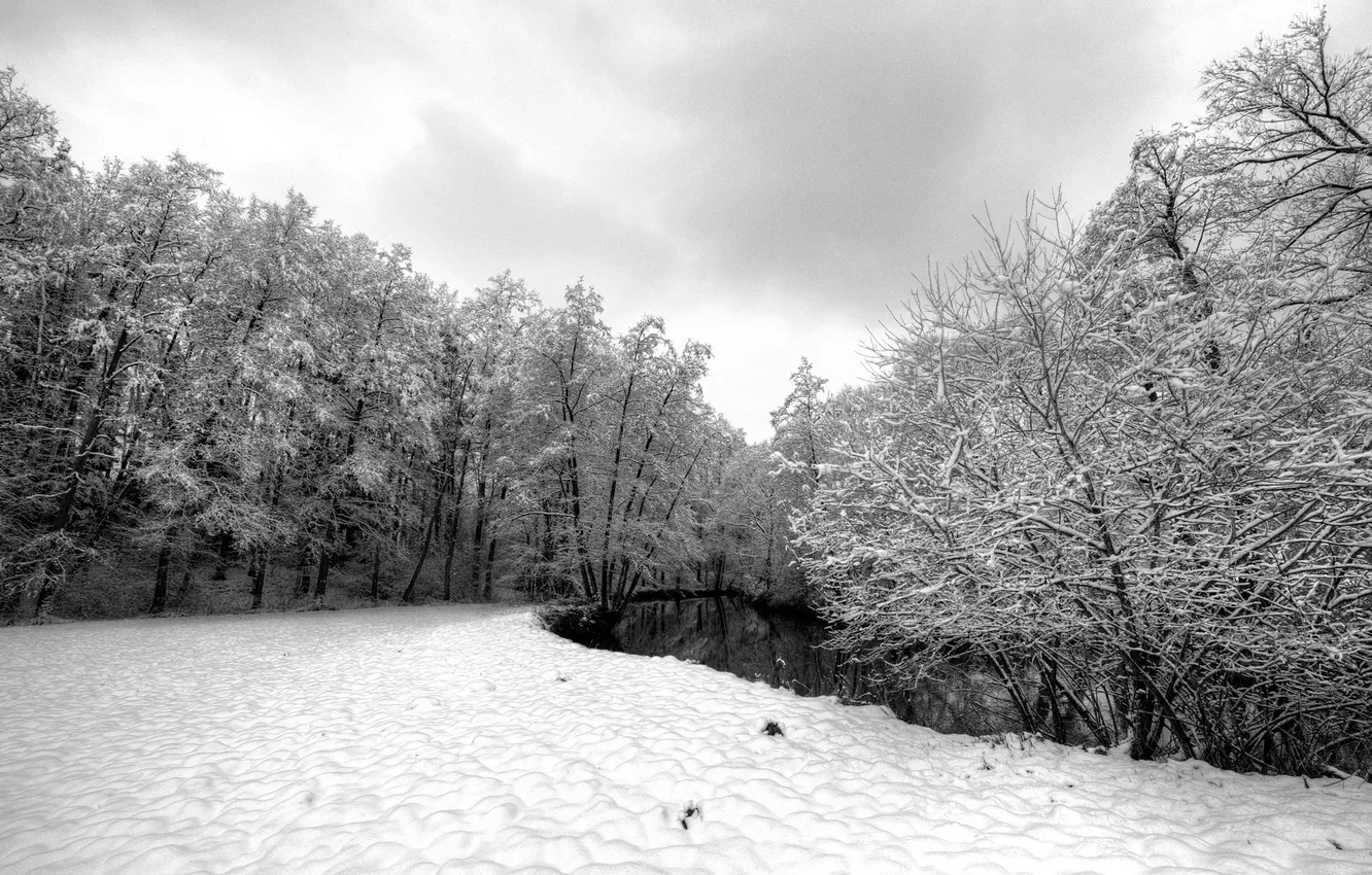 Фото обои зима, снег, серость, Winter, речька