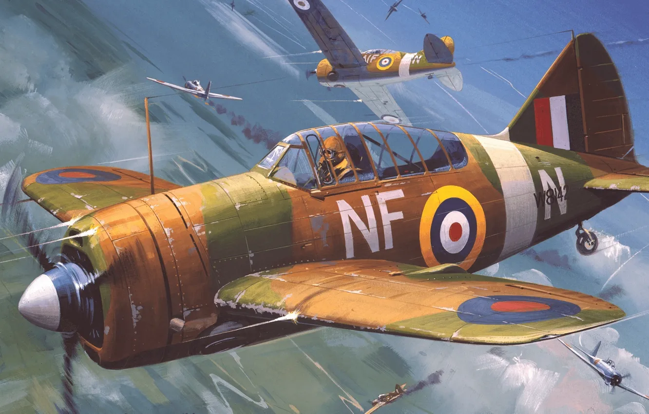 Фото обои истребитель, Новая Зеландия, США, Палубный, RNZAF, F2A, Roy Huxley, Brewster Buffalo