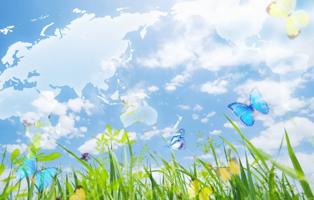 Фото обои небо, трава, бабочки, коллаж, атлас
