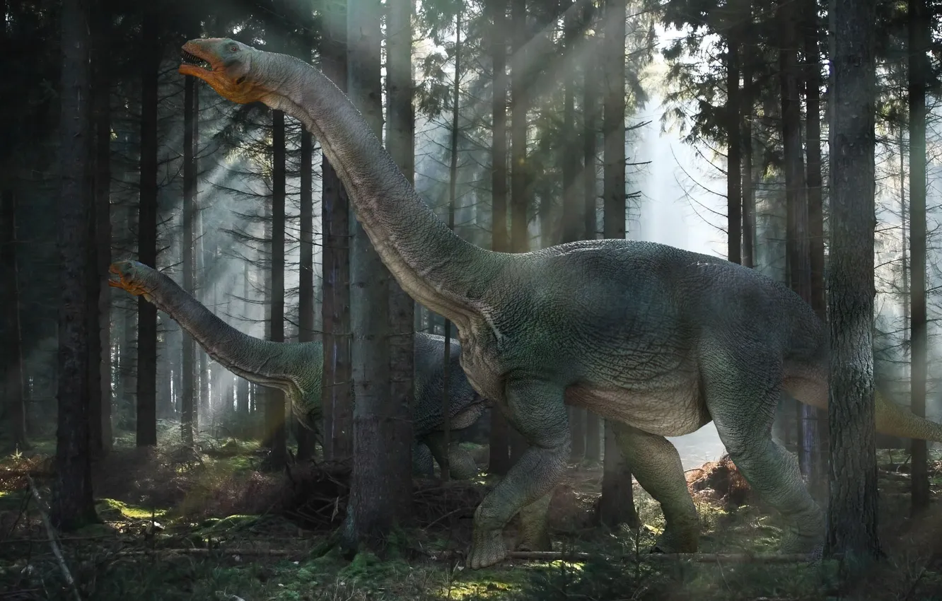 Фото обои лес, лучи, свет, динозавры, nemegtosaurs